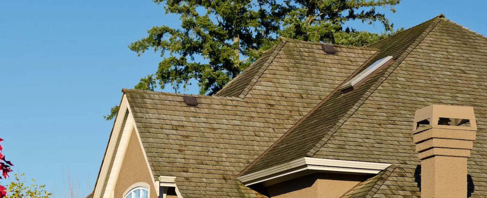 Tree Branch Damage to Your Roof: What to Know | TN & GA