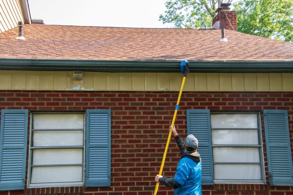 roof moss cleaning