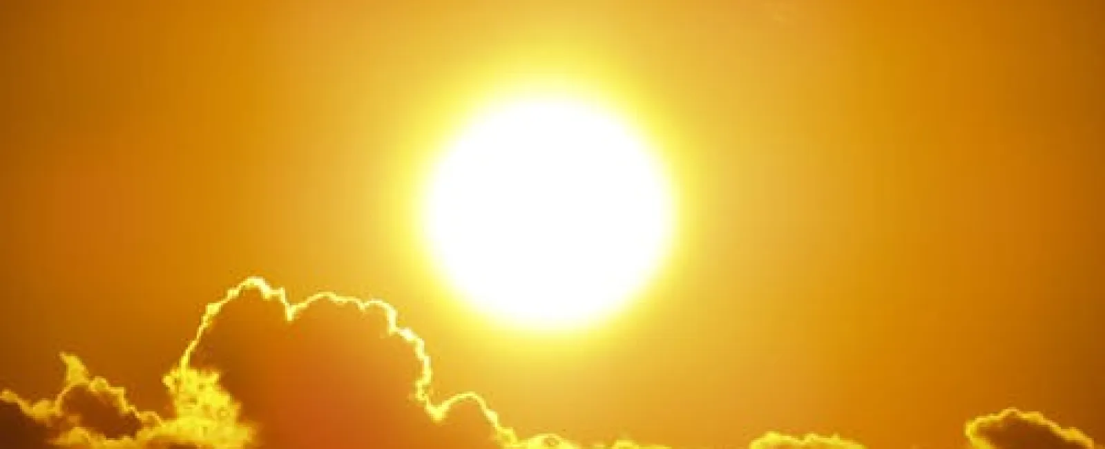 How Summer Affects Your Roof in Tennessee & Georgia