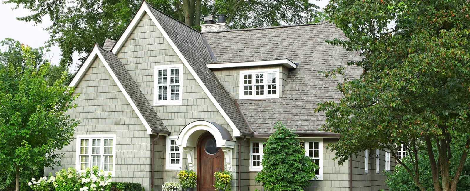 Tree Damage and Prevention │Northpoint Roofing Systems