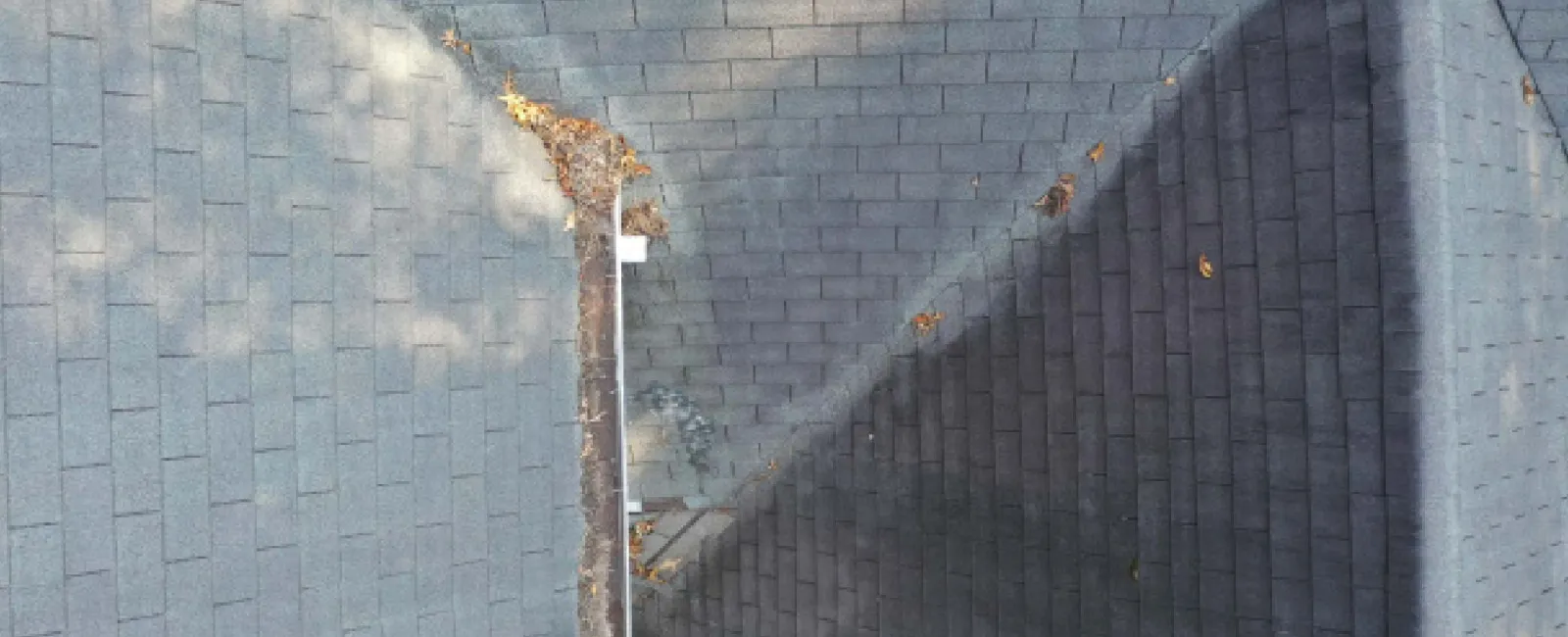 What Causes Roof Damage? │ Northpoint Roofing Systems
