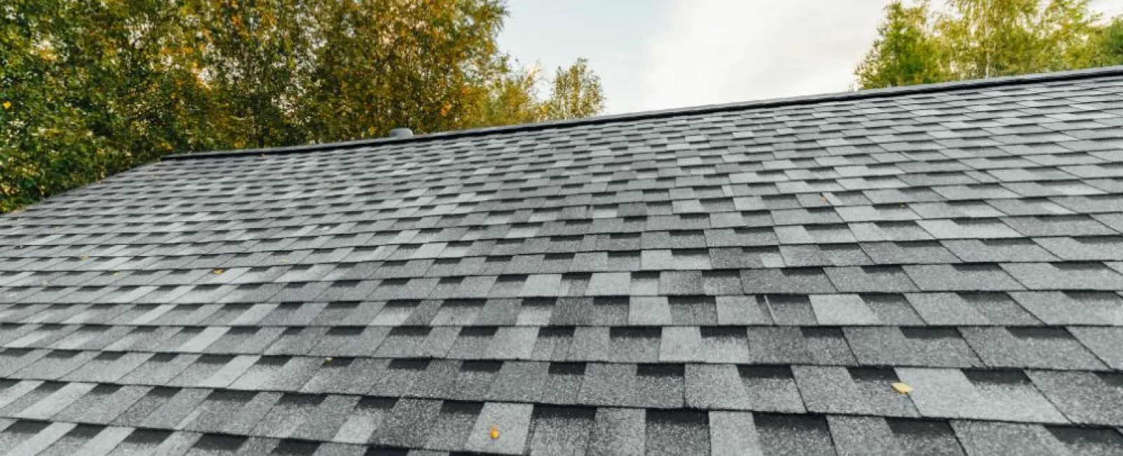 Best Roofing Material for Your Home │ Northpoint Roofing Systems